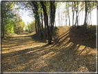 foto Alle pendici del Monte Grappa in Autunno